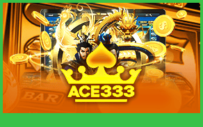 ACE333 BNG55