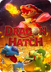 Dragon Hatch BNG55