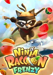 Ninja Raccoon Frenzy BNG55