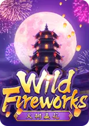 Wild Fireworks BNG55