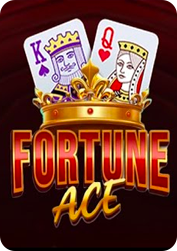 Vs1024fortune BNG55