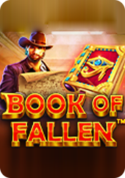 Vs10bookfallen BNG55