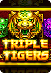 Vs1tigers BNG55