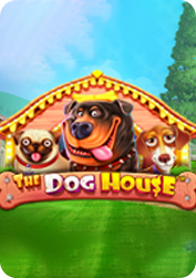 Vs20doghouse BNG55