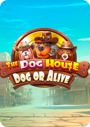 Vs20doghouse2 BNG55
