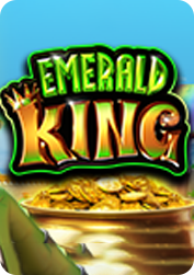 Vs20eking BNG55
