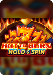 Vs20hburnhs BNG55