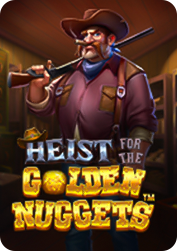 Vs20hstgldngt BNG55