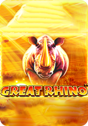 Vs20rhino BNG55