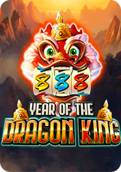 Vs20yotdk BNG55