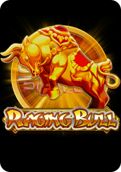 Vs243chargebull BNG55