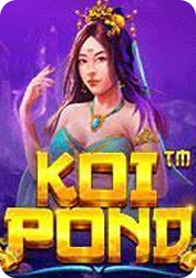 Vs243koipond BNG55