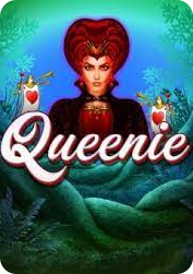 Vs243queenie BNG55