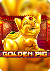 Vs25goldpig BNG55