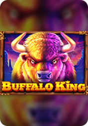 Vs4096bufking BNG55