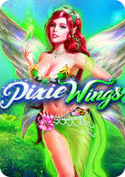 Vs50pixie BNG55