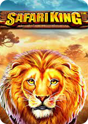 Vs50safariking BNG55