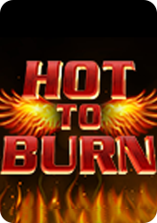 Vs5hotburn BNG55