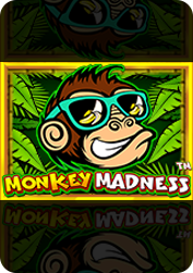 Vs9madmonkey BNG55