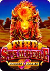 Vswaysstampede BNG55